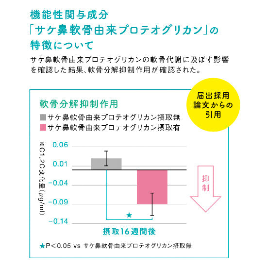 定期便】AO+PGタブレット：4158 – MACUREHOUSE ONLINE